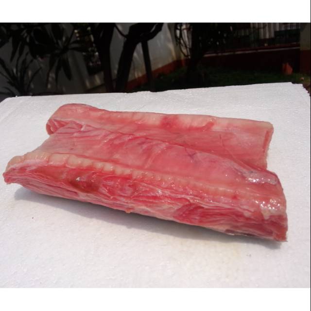 

Tuna or filet tuna or tuna belly or toro or dada tuma or perut tuna