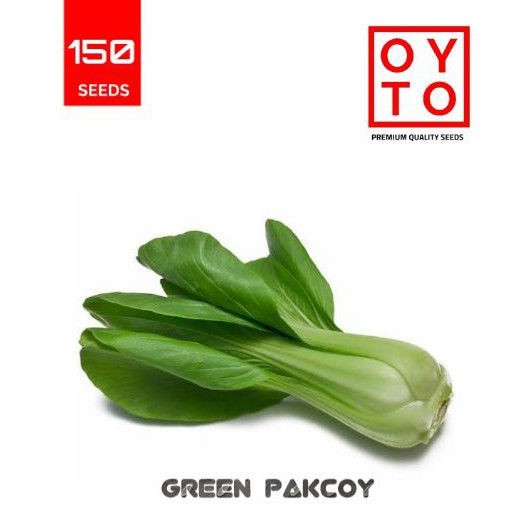 BENIH SAWI PAKCOY BIBIT SAYURAN BENIH TANAMAN HIDROPONIK F1