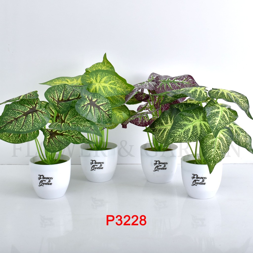 COD/HMPU TANAMAN HIAS TANAMAN DAUN PLASTIK TANAMAN HIAS RUMAH BUNGA HIAS BUNGA PLASTIK BUNGA P3228-4