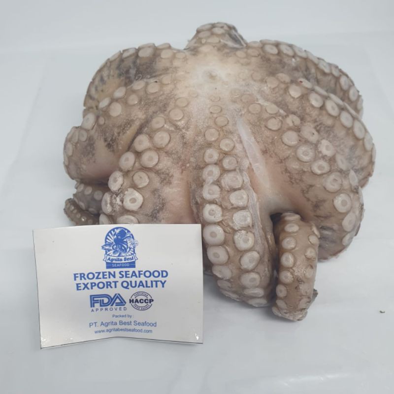 

Gurita Flower Natural