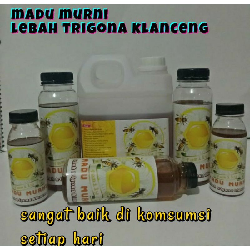 

MADU MURNI LEBAH TRIGONA KLANCENG ASLI 100gr