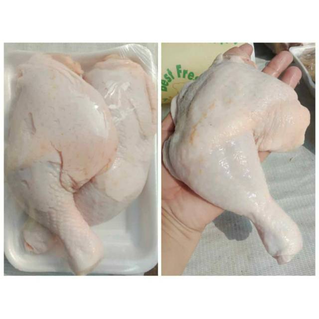 

Paha utuh fresh 650gr