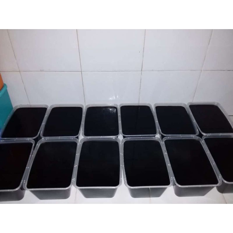

Cincau Keling HomeMade Lezat Legit tanpa Pengawet