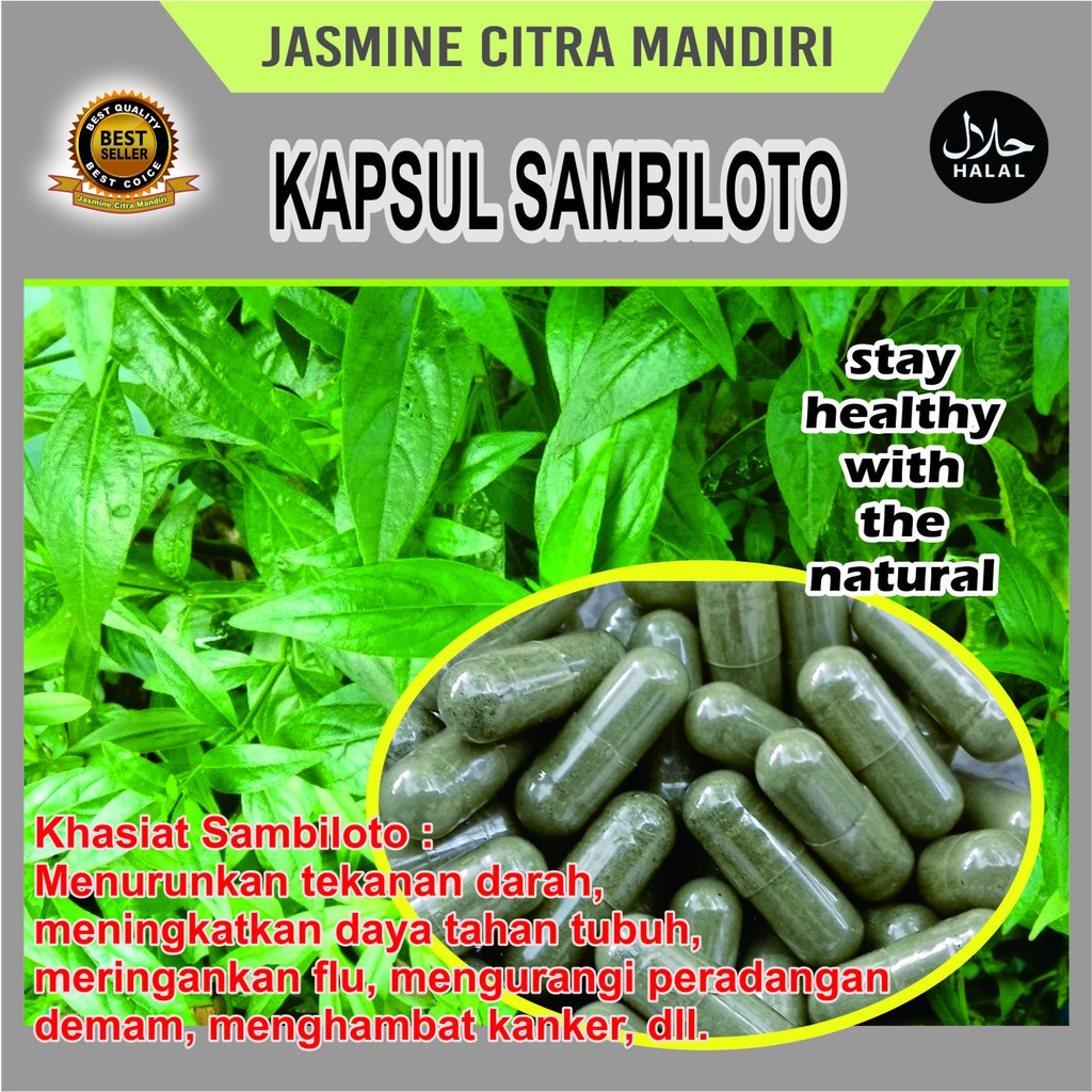 

Kapsul Sambiloto Daya Tahan Tubuh Anti Hipertensi Dan Diabetes