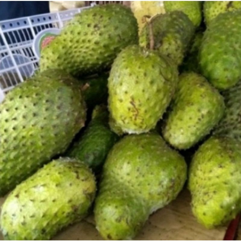 

Buah sirsak segar per 1 buah