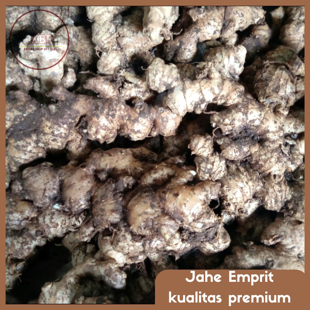 Jahe Emprit Lokal/ Jahe Emprit Pedas