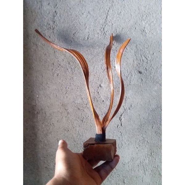 display hias kayu erosi kayu hias kayu aquascape