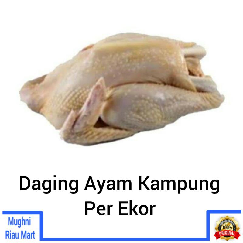 

Daging Ayam Kampung Per Ekor