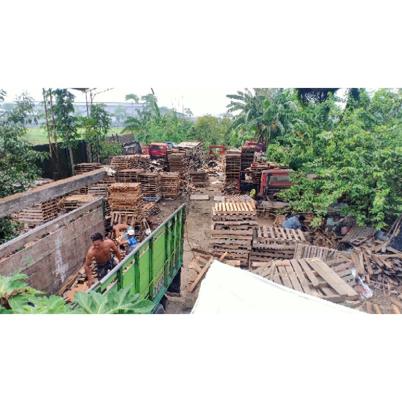 PALET KAYU BEKAS DAN BARU