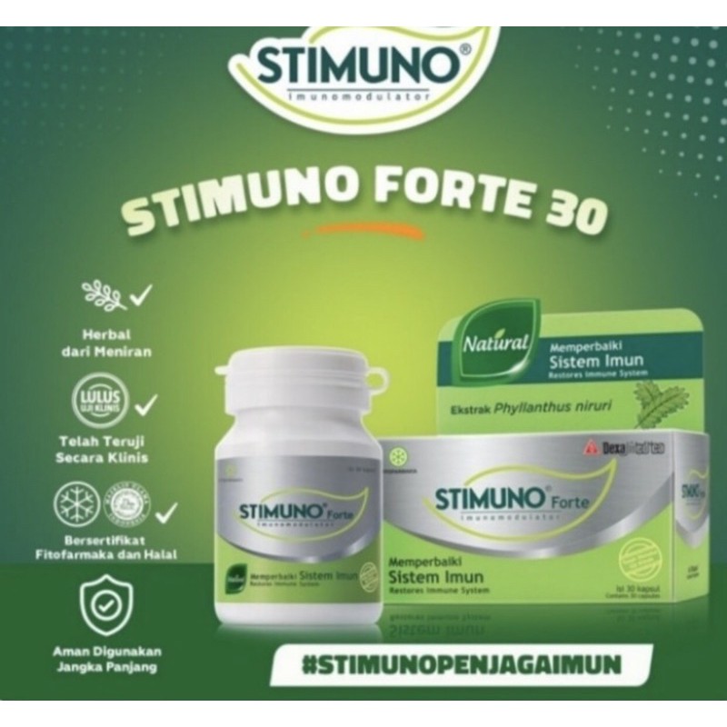 Stimuno forte botol isi 30 kapsul ( herbal daya tahan tubuh )