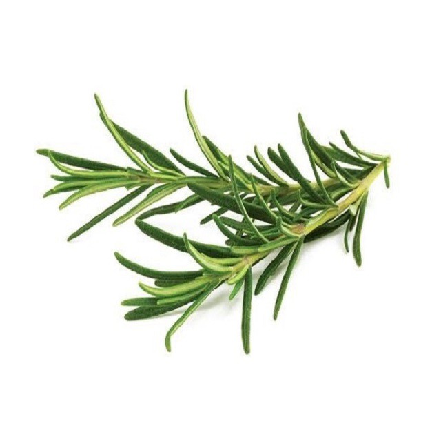 

ROSEMARY ORGANIC