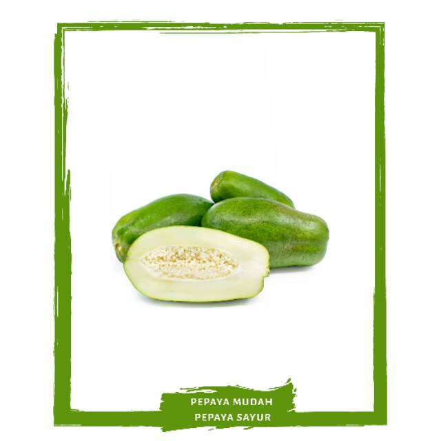 

Pepaya Muda / Pepaya Sayur / Sayur Sayuran Segar By Mallahrizwa