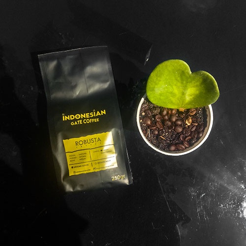 

Robusta kopi lampung bubuk asli ( premium quality ) 250 gr