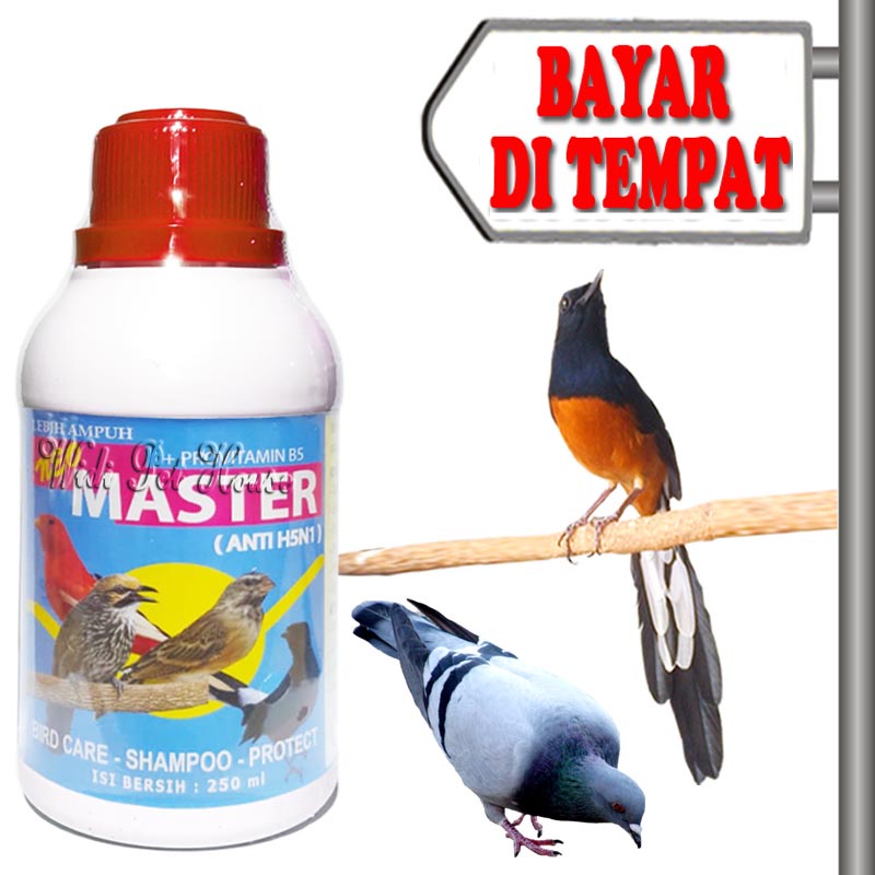 Sampo Anti Kutu Burung Basmi Parasit Shampo Master