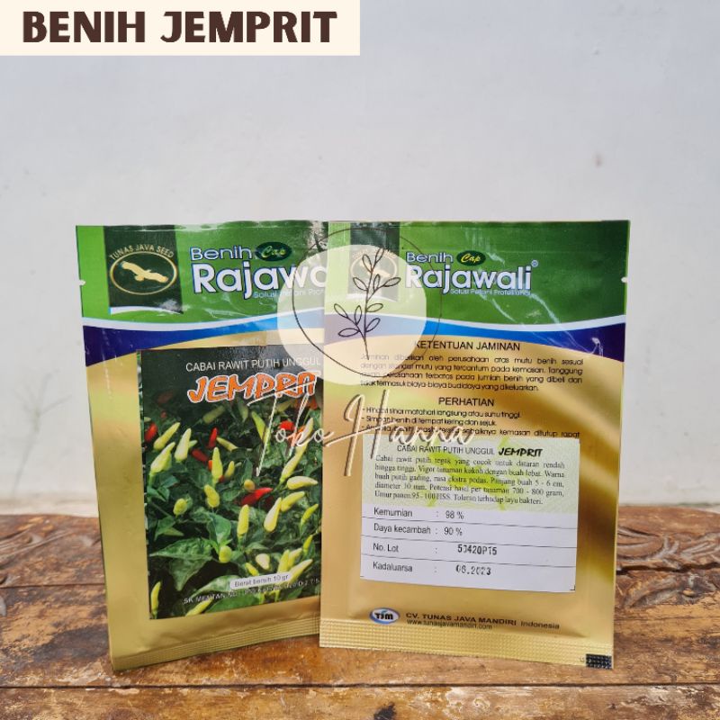 CABAI RAWIT PUTIH UNGGUL (JEMPRIT) RAJAWALI