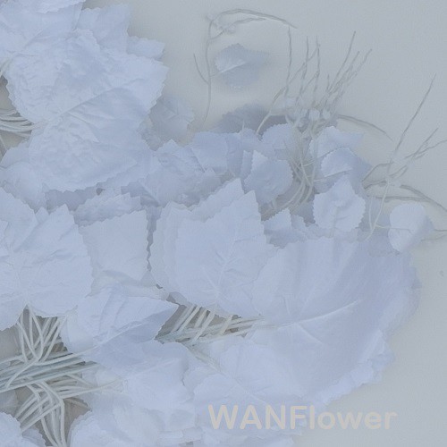 WANFlower Daun Anggur * PUTIH (perLusin)