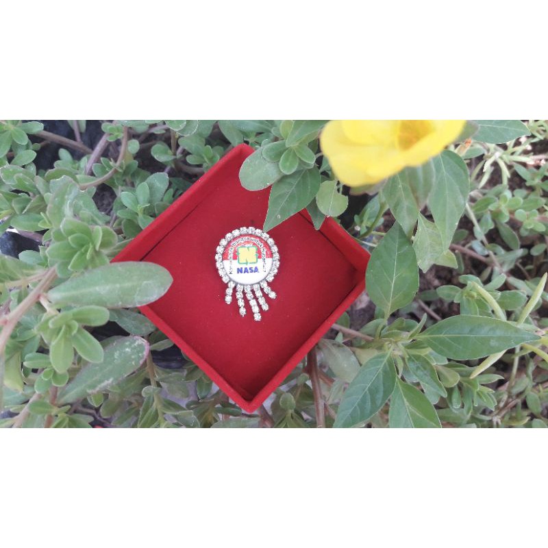 Bros dada bros juntai logo NASA blink-blink handmade