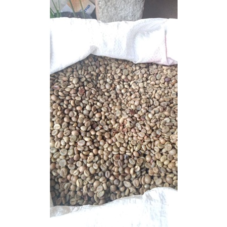 

Kopi robusta, Banjarnegara green bean