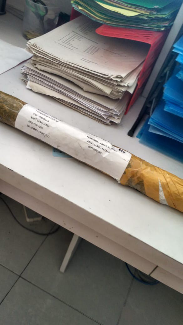 Sapu Lantai Sapu Rayung