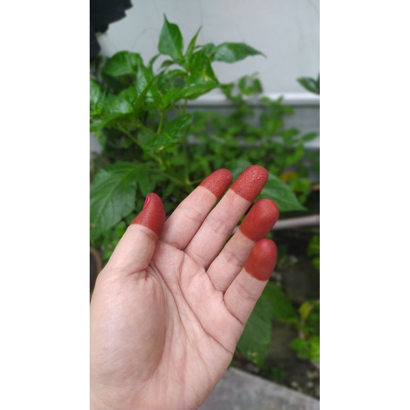 InaiCelup/HennaCelup DaunAsli