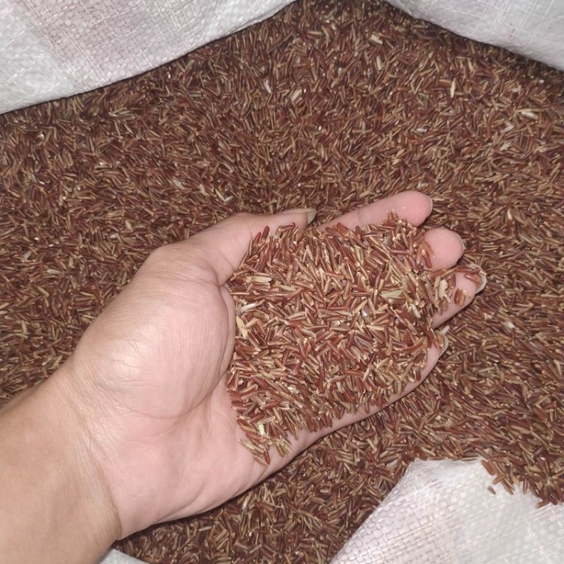 

beras merah hasil tanam sendiri
