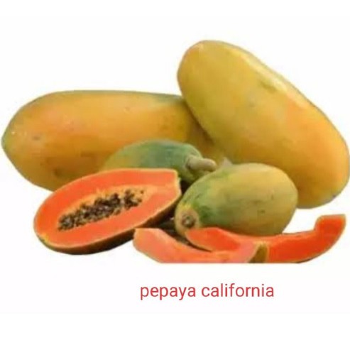 

Pepaya California 1pc Manis