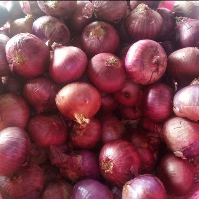 

Brambang Import 1 kg