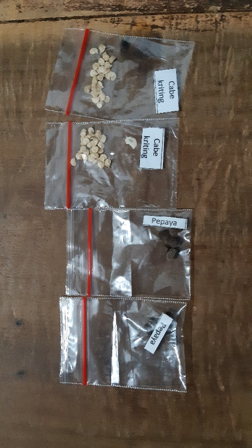 Regent® 50 Sc Red 50ml Insektisida Perlakuan Benih