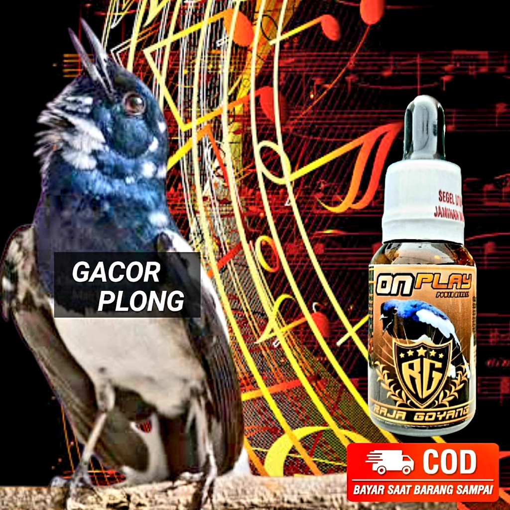 RG ON PLAY KACER vitamin ONPLAY penggacor burung kacer volume maksimal