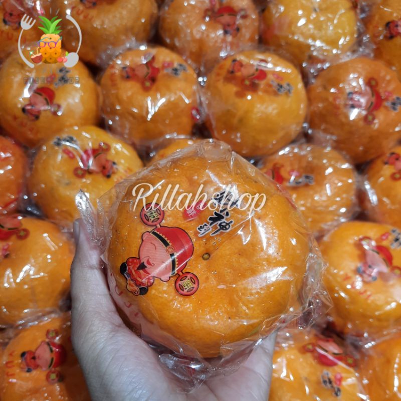

Buah Jeruk Ponkam Premium - Jeruk Imlek Manis