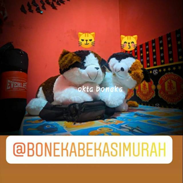 Okta Boneka/ Boneka Kucing Jumbo 60 cm /Boneka Kucing Murah / Boneka Kucing Besar / Boneka Kucing