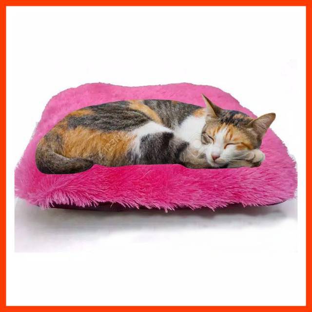 TEMPAT TIDUR KUCING | BANTAL KUCING