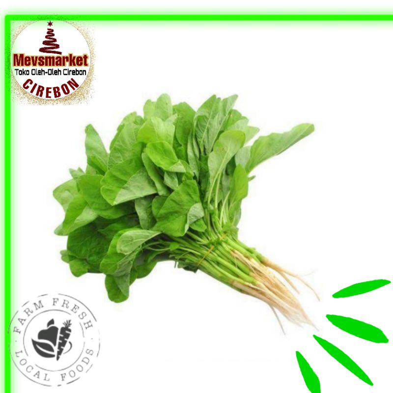 

Bayam Hijau Conventional 250 gram (Mevsmarketcirebon)
