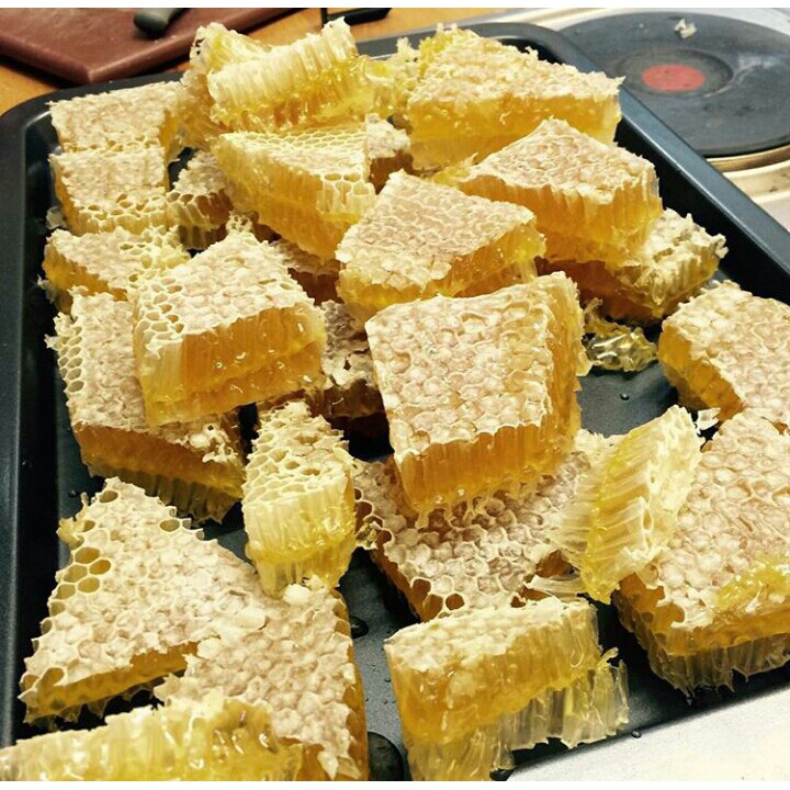 

madu hutan sumatera 1000gr