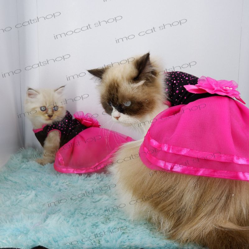 Baju dres tutu mawar kucing anjing ras kecil