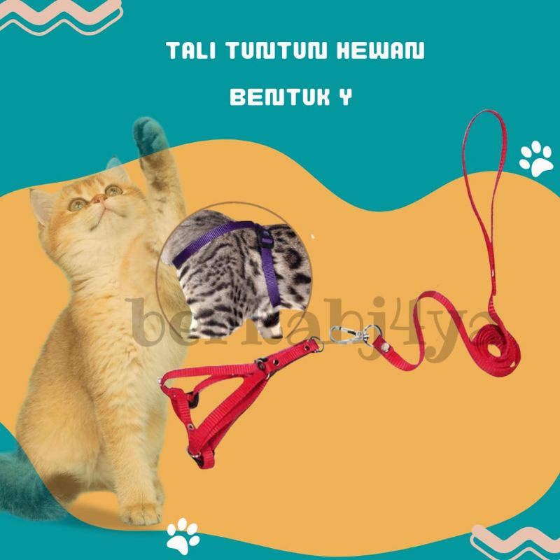 Jual TALI TUNTUN KUCING HARNESS KUCING MODEL Y PANJANG TALI 90CM