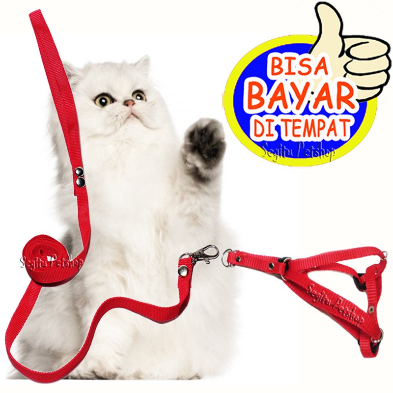 Harness Y Tali Penuntun Kucing Musang Hewan