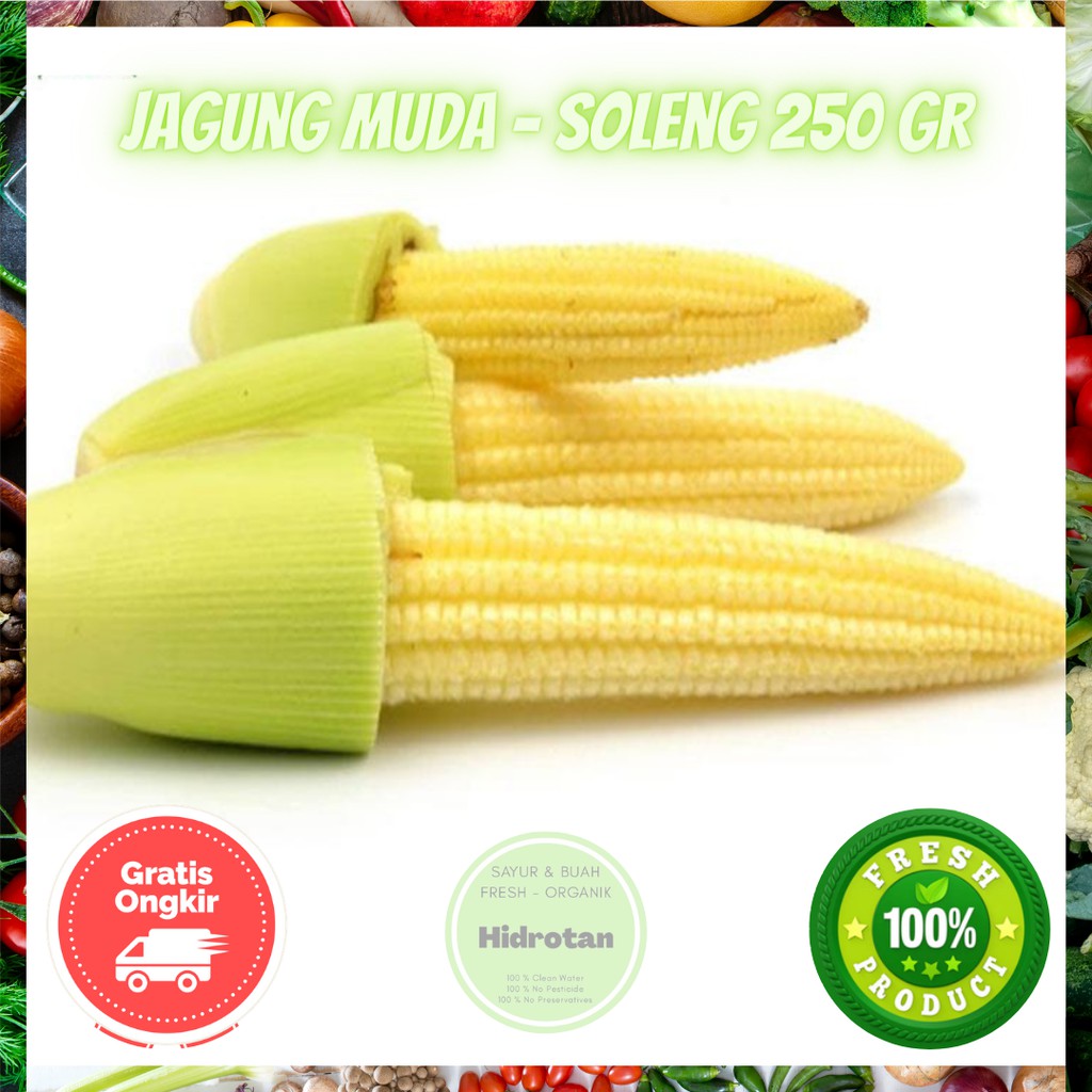 

Jagung Muda Jagung Kecil / Soleng / Baby Corn 250 gr Sayuran Segar | Paket Combo Fresh - Makanan Murah - Free Emas