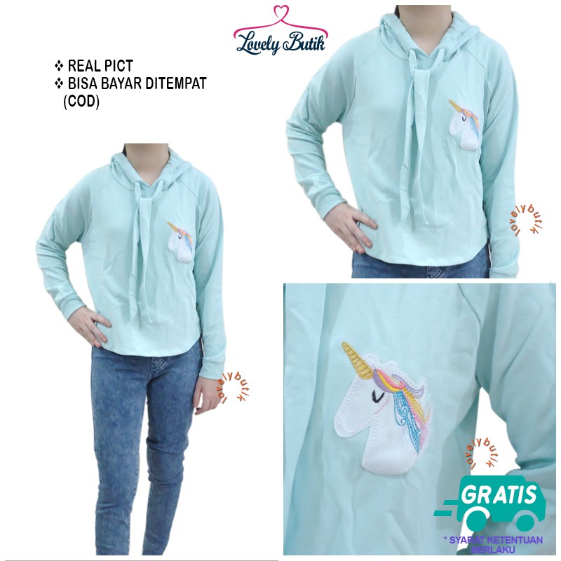 Lovelybutik Hoodie Jumper Wanita Polos Korea Unicorn style Sweter Baby Terry Pastel