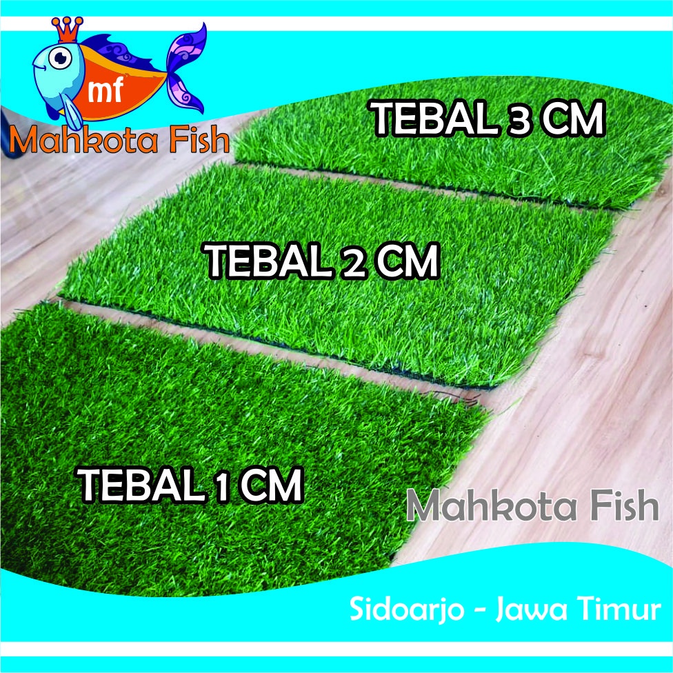 Rumput Aquarium Sintesis (Cocok Untuk AQUARIUM SEDANG) | Mainan Rumput Aquascape | Tanaman Hias Aquarium