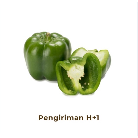 

Paprika Hijau Segar