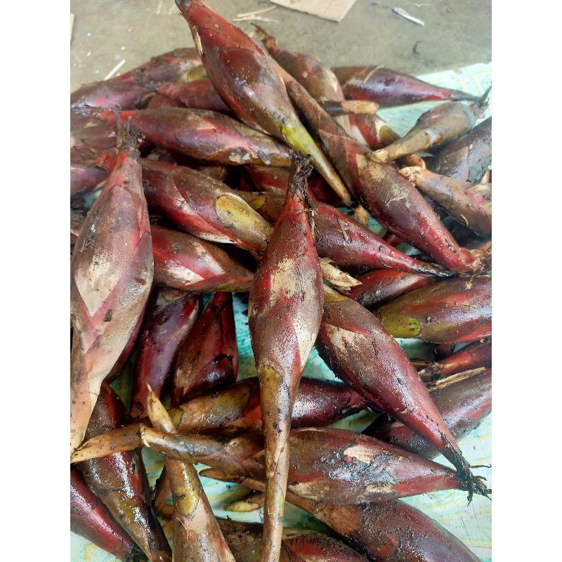 

Buah pining segar / globe helbal 500 gram frees