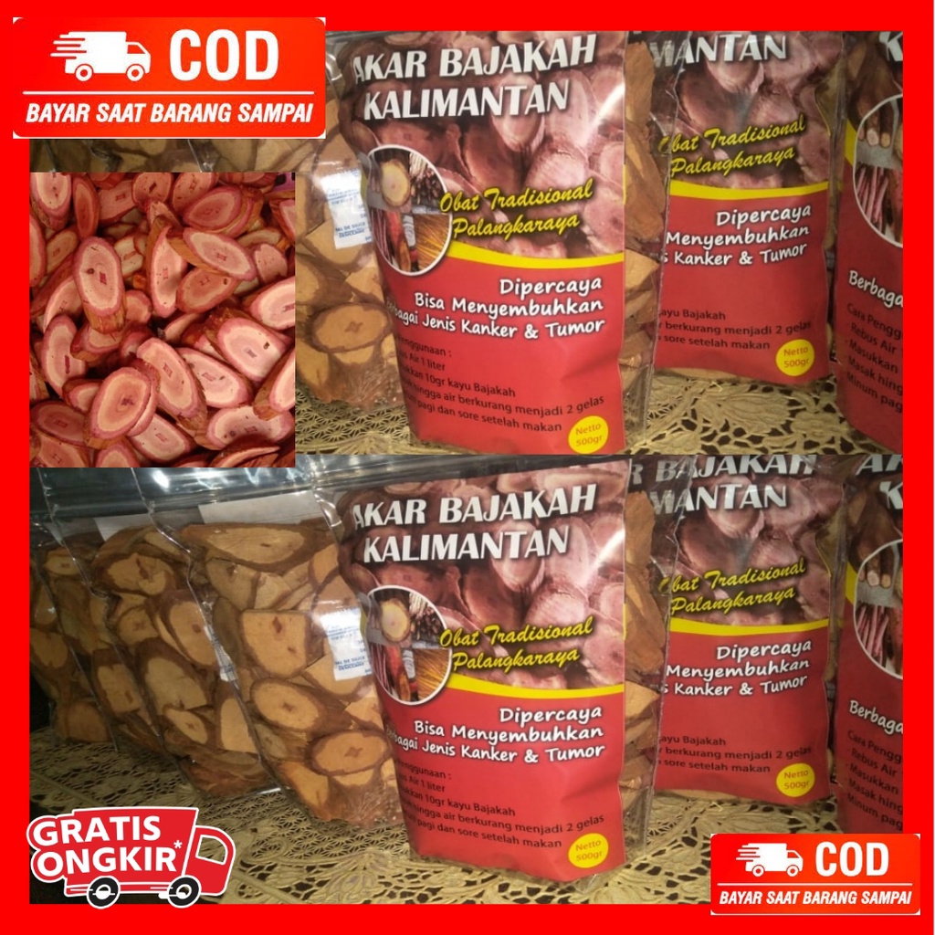 

AKAR BAJAKAH KALALAWIT KALIMANTAN ASLI (Kolesterol ,Jantung, Batu Ginjal)