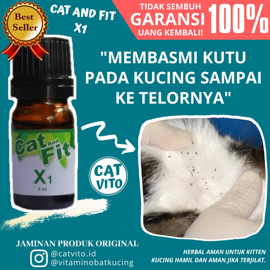 PAKET Obat Anti Jamur Cacing Kutu Scabies Kucing X1 dan X2 Cat and Fit Ampuh