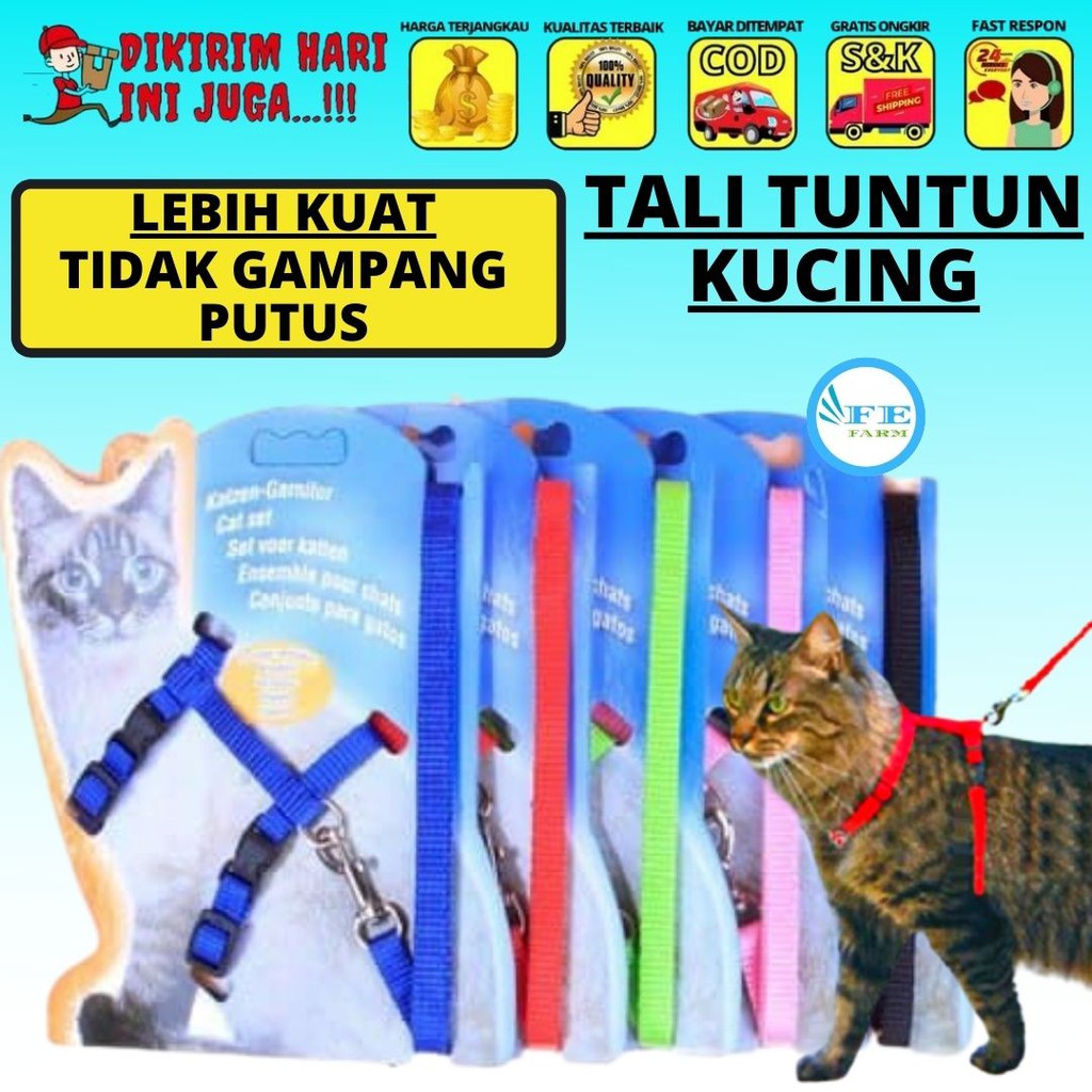 Harness H Hernes Tali Hewan Kalung Tuntun Badan Kucing Musang Kelinci FEFARM