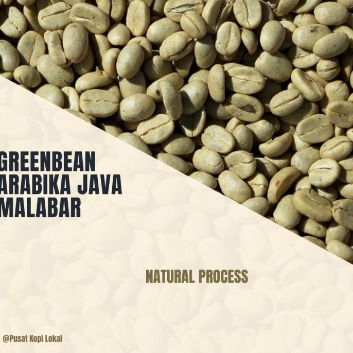 

GreenBean Arabika Malabar Natural Process