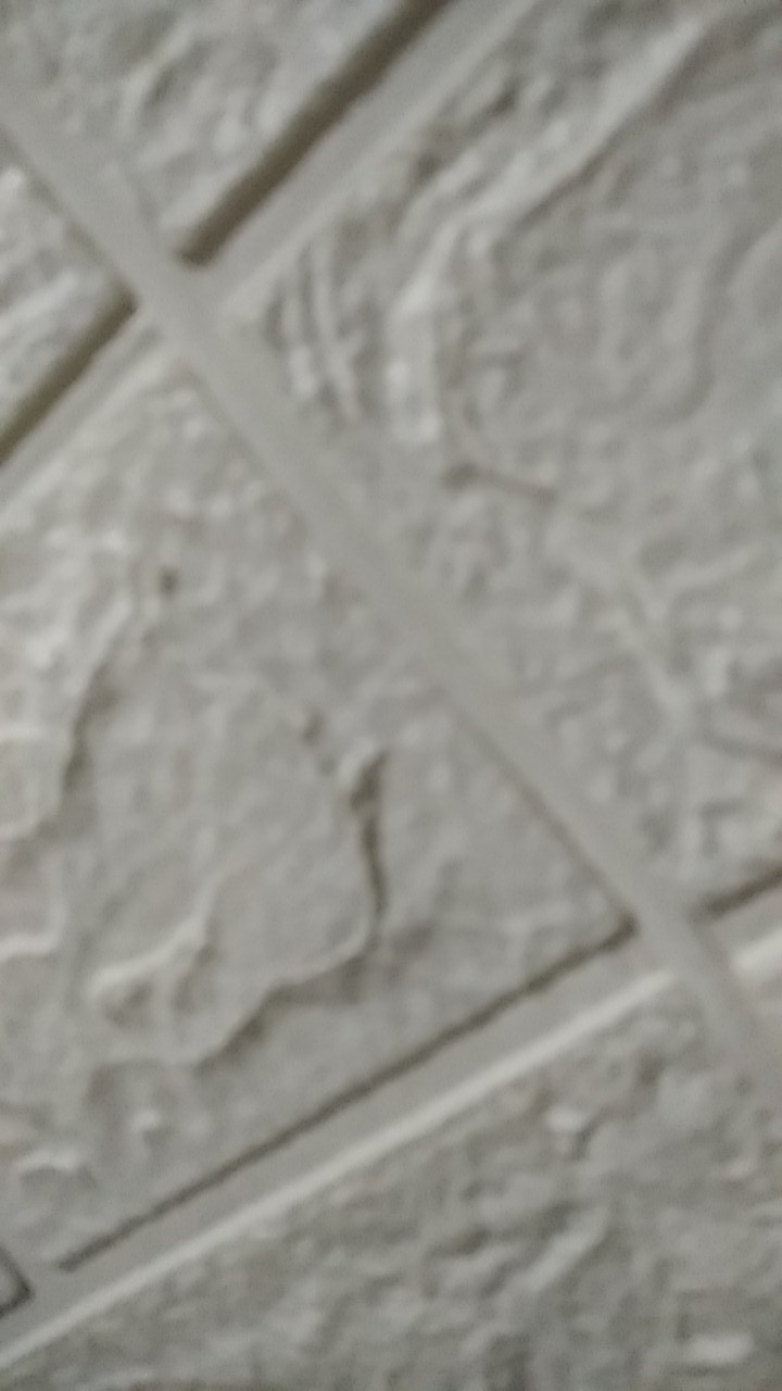 Wallpaper Sticker Dibding Motif Polos Putih Mawar 10m X 45cm