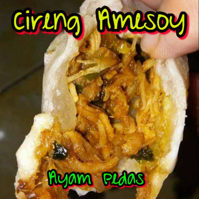 

Cireng Isi Amesoy (AYAM PEDAS)