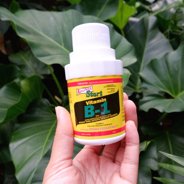 Ready Vitamin b1 Tanaman liquinox Asli