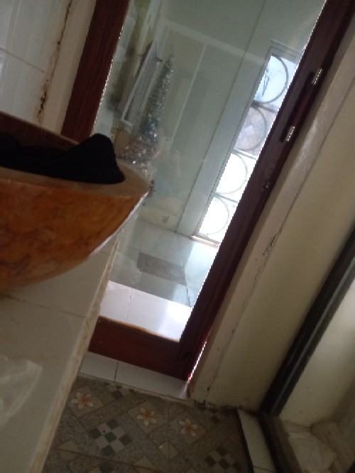 Hit Aerosol 600 Ml Lily Blossom /orange